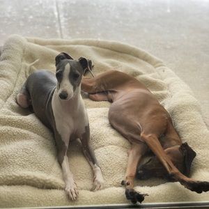 Meet your Posher, Alicia